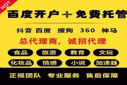 成功SEM投放案例分享